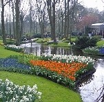 Tulpenpark